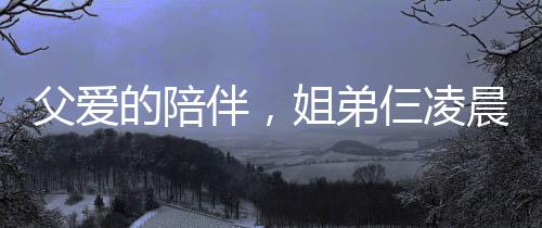 父愛的陪伴，姐弟仨凌晨返程，一夜守護(hù)見證深情