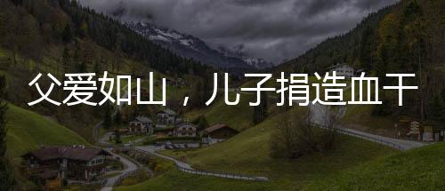 父愛如山，兒子捐造血干細(xì)胞拯救患白血病的父親