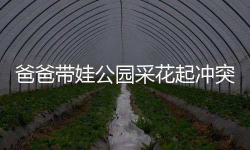 爸爸帶娃公園采花起沖突，家庭教育與社會責(zé)任引深思