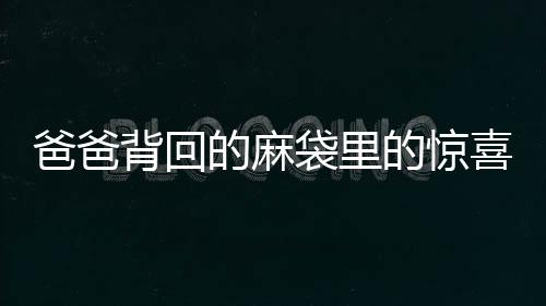 爸爸背回的麻袋里的驚喜，一份滿滿的愛給孩子們的禮物
