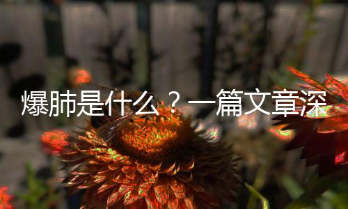 爆肺是什么？一篇文章深度解析