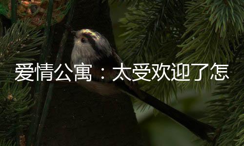 愛(ài)情公寓：太受歡迎了怎么辦