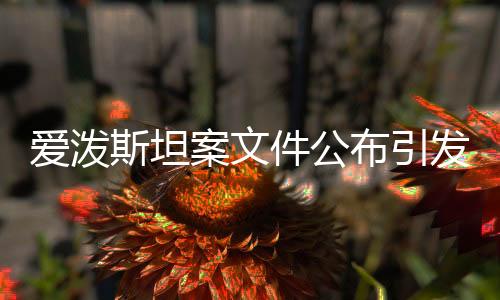 愛潑斯坦案文件公布引發(fā)社會廣泛關(guān)注