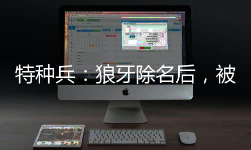 特種兵：狼牙除名后，被安然倒追