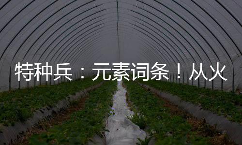 特種兵：元素詞條！從火鳳凰開始