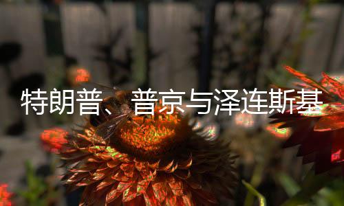 特朗普、普京與澤連斯基，能否談妥停戰(zhàn)？