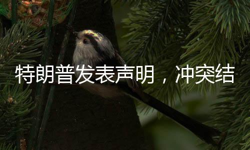 特朗普發(fā)表聲明，沖突結(jié)束后加沙將轉(zhuǎn)交給美國(guó)