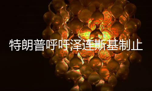 特朗普呼吁澤連斯基制止對普京的負(fù)面言論