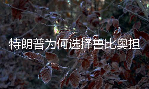 特朗普為何選擇魯比奧擔(dān)任國務(wù)卿，背后原因的深度解析