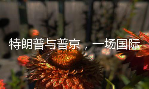特朗普與普京，一場(chǎng)國際風(fēng)云中的嘻嘻較量