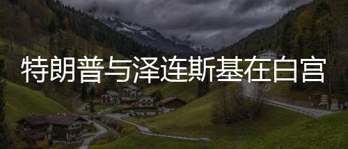 特朗普與澤連斯基在白宮上演激烈爭吵