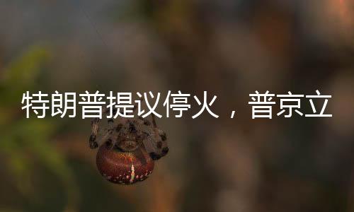 特朗普提議?；?，普京立即行動，兩國緊張局勢的轉(zhuǎn)折？