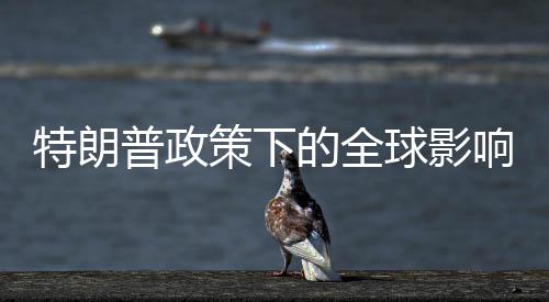 特朗普政策下的全球影響，針對(duì)所有輸美鋼鋁征收25%關(guān)稅