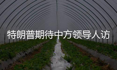 特朗普期待中方領(lǐng)導(dǎo)人訪美，中方回應(yīng)——中美關(guān)系的新動向