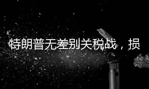 特朗普無差別關稅戰(zhàn)，損失最大的究竟是誰？
