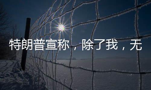 特朗普宣稱，除了我，無人能阻止普京——國際政治角力與全球視角解析