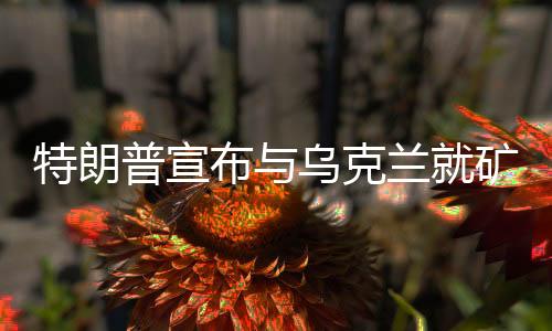 特朗普宣布與烏克蘭就礦產(chǎn)問(wèn)題達(dá)成重要協(xié)議，關(guān)鍵合作促成重大進(jìn)展