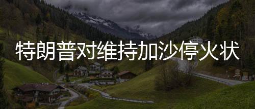 特朗普對維持加沙?；馉顟B(tài)缺乏信心，國際觀察與深度分析