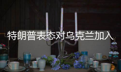 特朗普表態(tài)對烏克蘭加入北約持保留態(tài)度，認為不切實際
