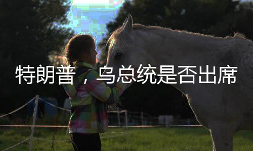 特朗普，烏總統(tǒng)是否出席和談不重要