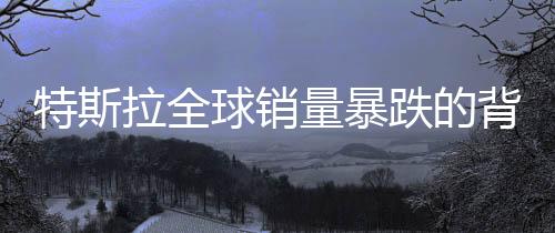 特斯拉全球銷量暴跌的背后，一個(gè)深入分析