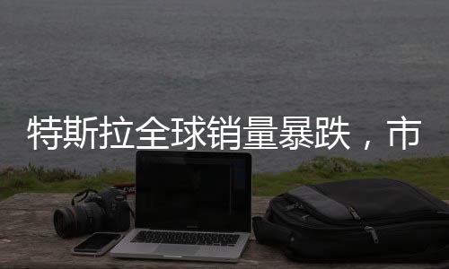 特斯拉全球銷(xiāo)量暴跌，市場(chǎng)波動(dòng)與企業(yè)策略調(diào)整