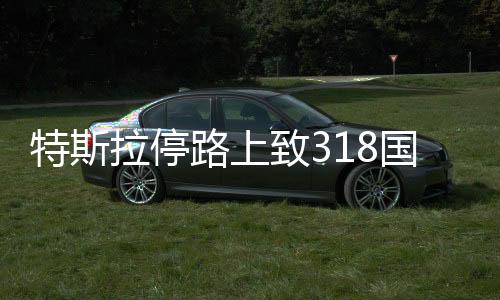 特斯拉停路上致318國道擁堵三小時(shí)，事件背后引發(fā)深思