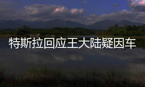 特斯拉回應(yīng)王大陸疑因車(chē)門(mén)涉刑案