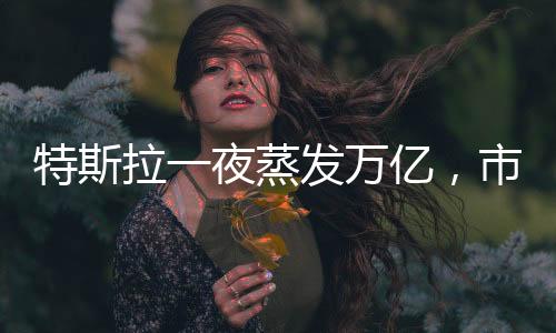 特斯拉一夜蒸發(fā)萬(wàn)億，市值巨震揭示產(chǎn)業(yè)與投資者的微妙關(guān)系