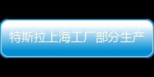特斯拉上海工廠部分生產(chǎn)線將暫停生產(chǎn)，內(nèi)部調(diào)整與市場(chǎng)反應(yīng)分析