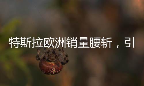 特斯拉歐洲銷量腰斬，引發(fā)市場深度關(guān)注