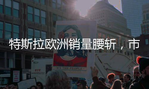 特斯拉歐洲銷量腰斬，市場風(fēng)云再起