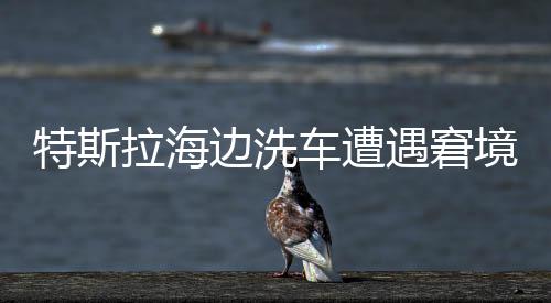 特斯拉海邊洗車遭遇窘境，無法開回引熱議