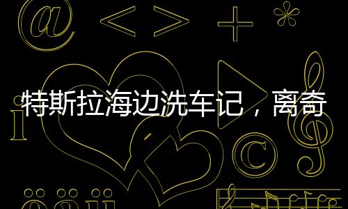 特斯拉海邊洗車記，離奇事件揭示科技與現(xiàn)實(shí)的碰撞