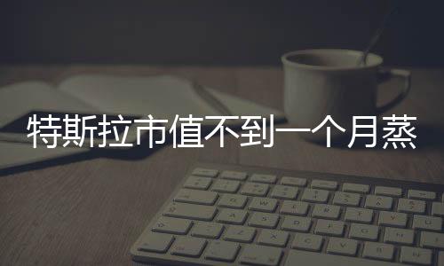 特斯拉市值不到一個(gè)月蒸發(fā)1.65萬億，電動(dòng)汽車巨頭面臨市場波動(dòng)挑戰(zhàn)