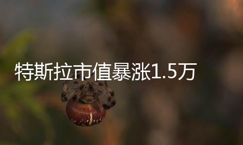 特斯拉市值暴漲1.5萬億，引領(lǐng)全球新能源汽車產(chǎn)業(yè)新篇章