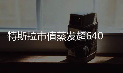 特斯拉市值蒸發(fā)超6400億，投資者信心大受考驗(yàn)