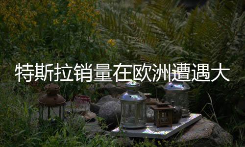 特斯拉銷量在歐洲遭遇大幅下滑，深度分析與市場洞察