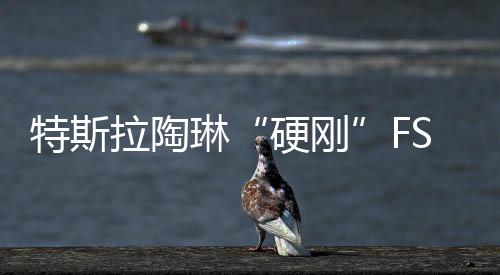 特斯拉陶琳“硬剛”FSD負面：不會給媒體付費買正面報道