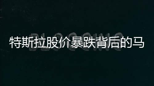 特斯拉股價(jià)暴跌背后的馬斯克回應(yīng)