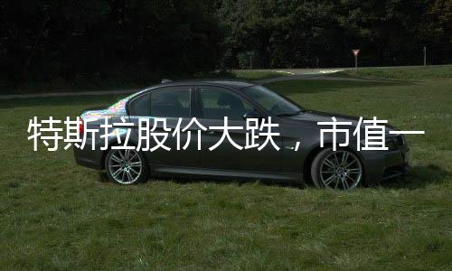 特斯拉股價大跌，市值一夜蒸發(fā)逾五千億美元——深度分析