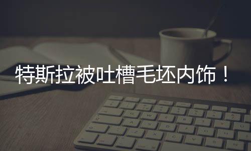 特斯拉被吐槽毛坯內(nèi)飾！陶琳：新能源車座艙不一定要奢華 必須環(huán)保