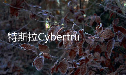 特斯拉Cybertruck發(fā)生爆炸 馬斯克：與車(chē)輛本身無(wú)關(guān)