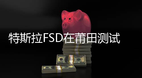 特斯拉FSD在莆田測試出現(xiàn)違規(guī)行為，連闖兩個紅燈，行業(yè)內(nèi)外引起廣泛關(guān)注