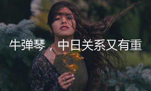 牛彈琴，中日關(guān)系又有重大突破