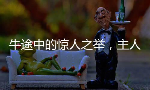 牛途中的驚人之舉，主人親歷賣牛途中牛突然下跪的奇異經歷