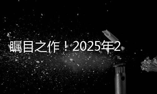 矚目之作！2025年2月電影市場總票房沖破160億大關(guān)——行業(yè)深度分析