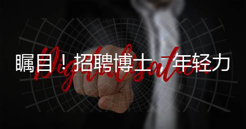 矚目！招聘博士，年輕力量等你加盟，28歲以下才子不可錯(cuò)過(guò)！