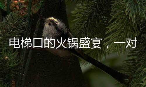 電梯口的火鍋盛宴，一對夫婦的悠閑時光與外賣小哥的意外邂逅