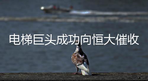 電梯巨頭成功向恒大催收4.62億，業(yè)務(wù)合作與資金糾紛的解析